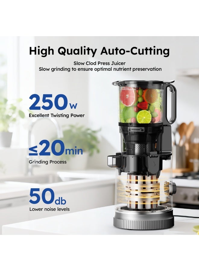 Icyglee Slow Masticating Juicer Extractor 99.6% High Juice Yield Pulp-free, Slow Juicer for Fruit and Vegetables, Fruit Juicer with 13cm Wide Feed Chute, 150W  Cold Press Juicer  BPA Free - Image 4